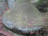 img0031.jpg