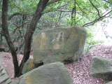 img0032.jpg