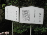 img0037.jpg