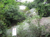 img0039.jpg