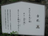 img0051.jpg