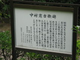 img0062.jpg