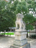 img0129.jpg