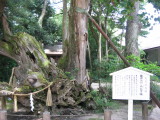 img0132.jpg