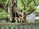 img0134.jpg