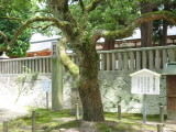 img0135.jpg
