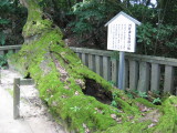 img0138.jpg