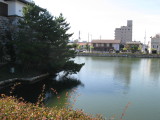img0146.jpg