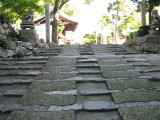 img0154.jpg