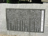 img0171.jpg