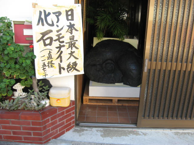 img0044.jpg