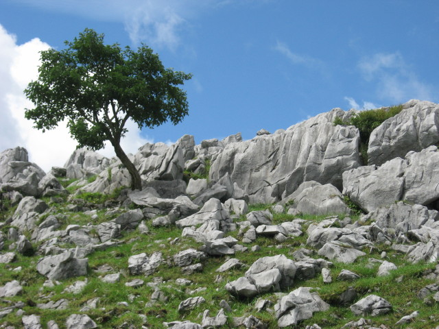 img0082.jpg