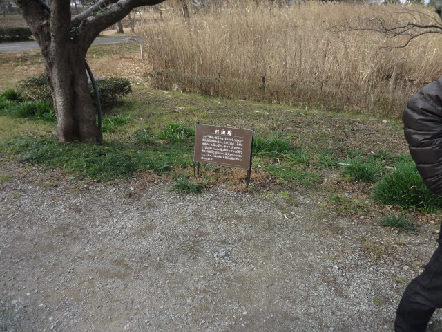 img0021.jpg