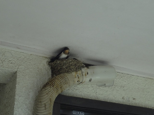 img0023.jpg